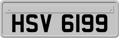 HSV6199