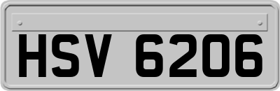 HSV6206