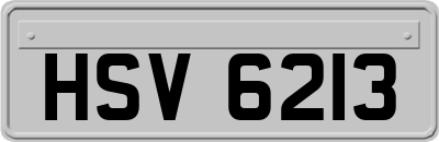 HSV6213