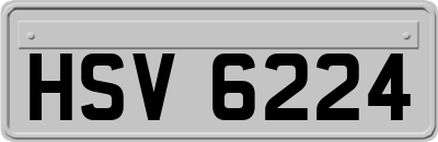 HSV6224
