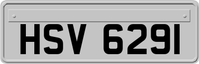 HSV6291