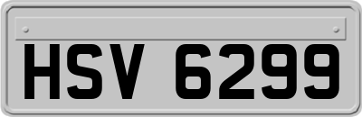 HSV6299