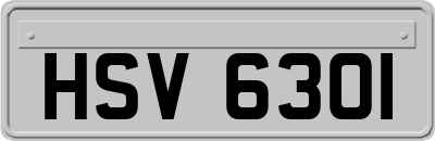 HSV6301