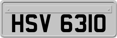HSV6310