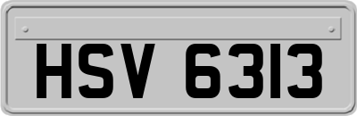 HSV6313