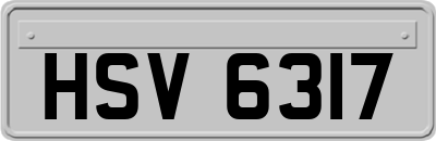 HSV6317