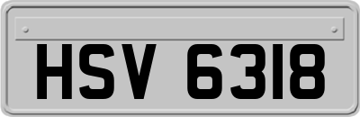 HSV6318