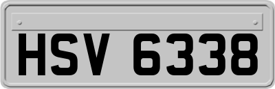 HSV6338