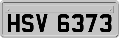 HSV6373