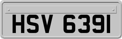 HSV6391