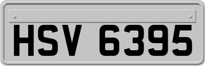 HSV6395