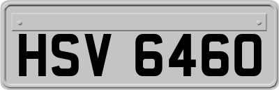 HSV6460
