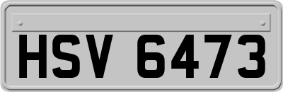 HSV6473
