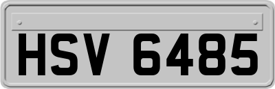 HSV6485