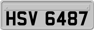 HSV6487