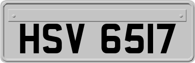 HSV6517