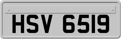 HSV6519