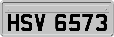 HSV6573