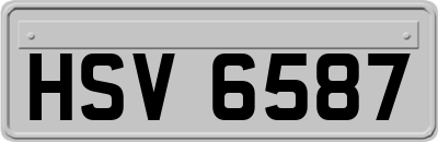 HSV6587