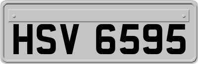 HSV6595
