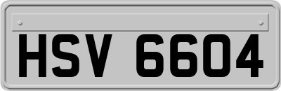 HSV6604