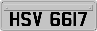HSV6617