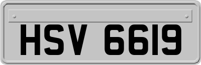 HSV6619