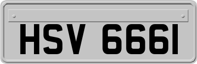 HSV6661