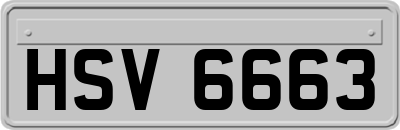 HSV6663