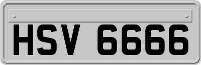HSV6666