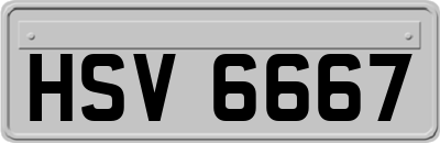 HSV6667