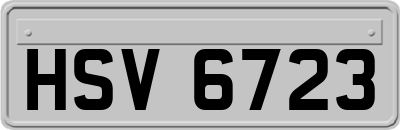HSV6723
