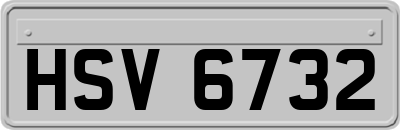 HSV6732