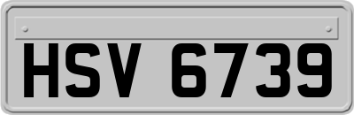 HSV6739