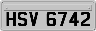 HSV6742