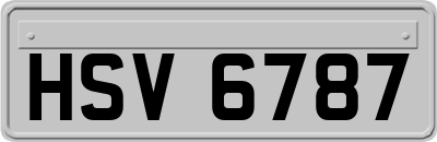 HSV6787