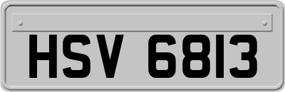 HSV6813