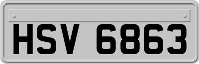 HSV6863