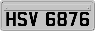 HSV6876