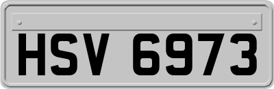 HSV6973