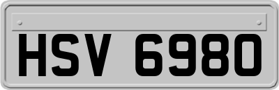 HSV6980