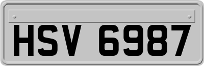 HSV6987