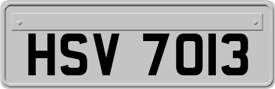HSV7013