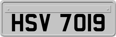 HSV7019