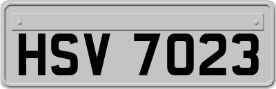 HSV7023
