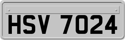 HSV7024