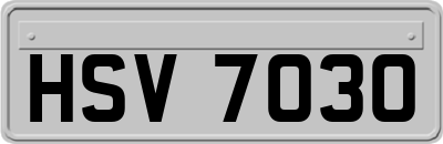HSV7030