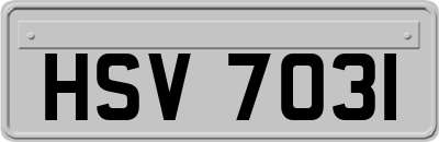 HSV7031