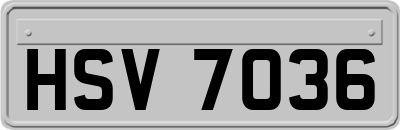 HSV7036