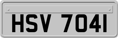 HSV7041